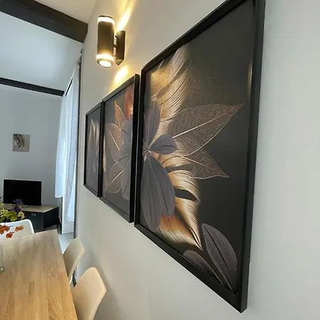 Appartement Les Aiguilles Dorees - Marche Saint Pierre, Victoire, Jaude Clermont-Ferrand